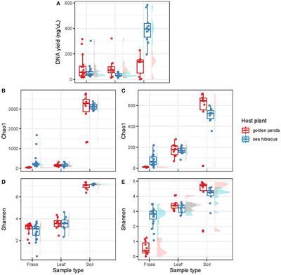 Influence of native and exotic plant diet on the gut microbiome of the Gray's Malayan stick insect, Lonchodes brevipes